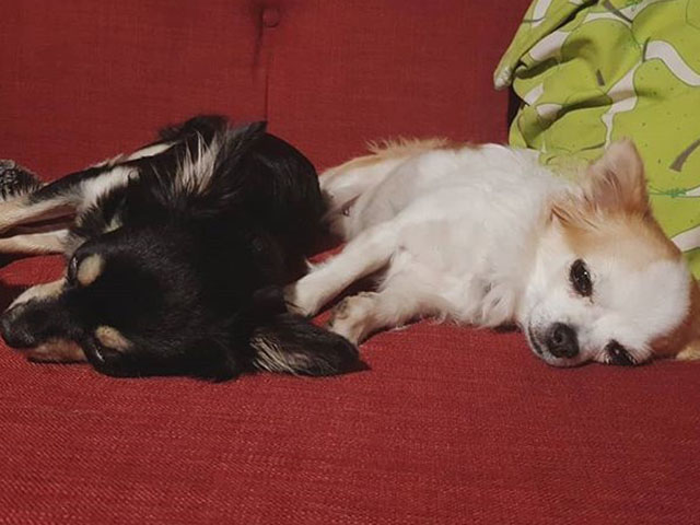 Tinkerbell and Maisie